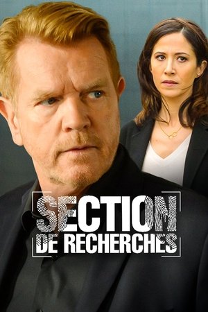 Служба расследований (сериал, 2006)