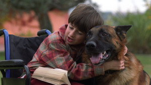Четвероногая звезда (фильм, 2002)