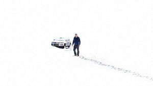 Магия зверя (фильм, 2019)