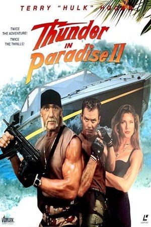 Гром в раю 2 (фильм, 1994)