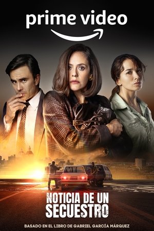 История похищения (сериал, 2022)