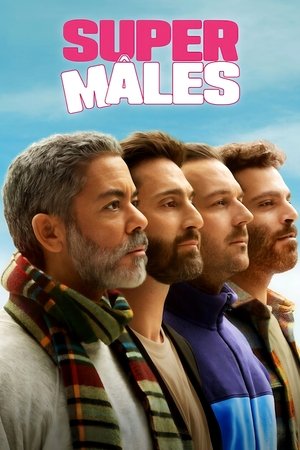 Сильный пол (сериал, 2025)
