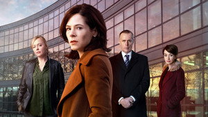 Допустимый риск (сериал, 2017)