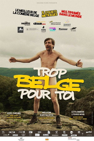 Слишком бельгиец для тебя (фильм, 2019)