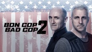 Плохой хороший полицейский 2 (фильм, 2017)