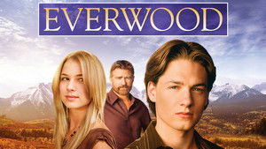 Любовь вдовца (сериал, 2002)