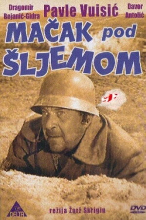 Кот под шлемом (фильм, 1962)