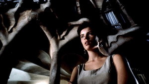 Фламандская доска (фильм, 1994)