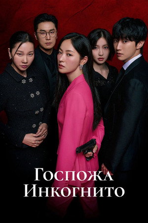 Госпожа Инкогнито (сериал, 2025)