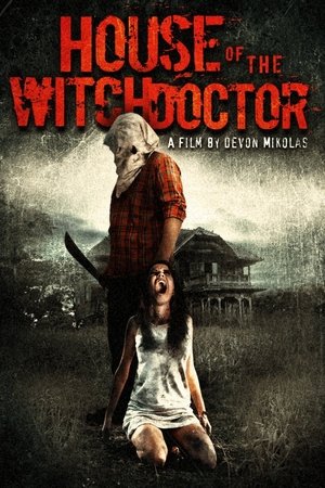 Дом колдуна (фильм, 2013)