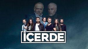 Внутри (сериал, 2016)