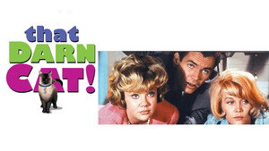 Эта дикая кошка (фильм, 1965)