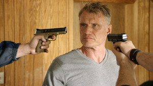 Акулье озеро (фильм, 2015)