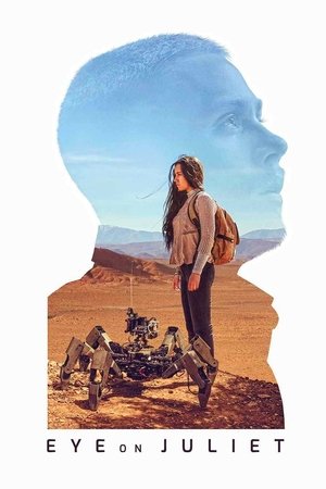 Наблюдение за Джульеттой (фильм, 2017)