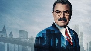 Голубая кровь (сериал, 2010)