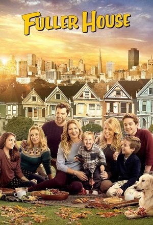 Более полный дом (сериал, 2016)