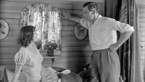 Одна единственная ночь (фильм, 1939)