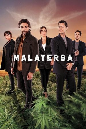 Дурная трава (сериал, 2021)