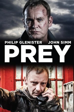 Жертва (сериал, 2014)