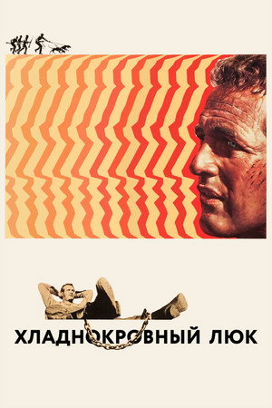 Хладнокровный Люк (фильм, 1967)