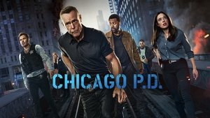 Полиция Чикаго (сериал, 2014)
