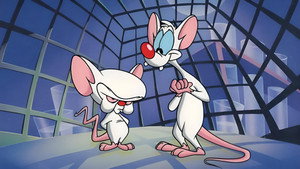 Пинки и Брейн (мультсериал, 1995)