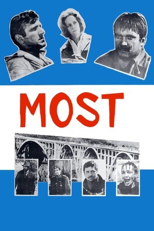 По следу Тигра (фильм, 1969)