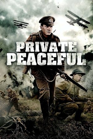 Рядовой Писфул (фильм, 2012)