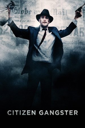 Гражданин гангстер (фильм, 2011)