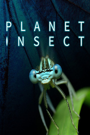 Планета насекомых (сериал, 2022)