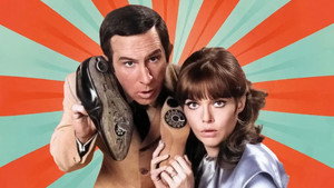 Напряги извилины (сериал, 1965)