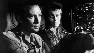 Город, похожий на Элис (фильм, 1956)