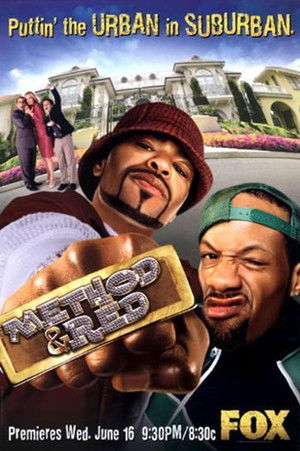 Шоу МетодМена и РедМена (сериал, 2004)