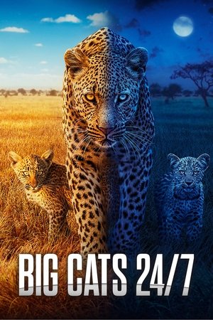 Большие кошки днём и ночью (сериал, 2024)