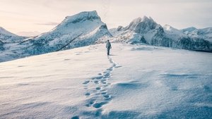 На высоте страха (фильм, 2025)