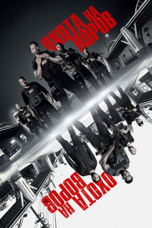 Охота на воров (фильм, 2018)