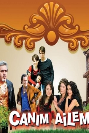 Дорогая моя семья (сериал, 2008)