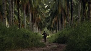 Тонкая красная линия (фильм, 1998)