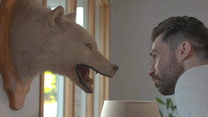Мрачные леса (фильм, 2019)