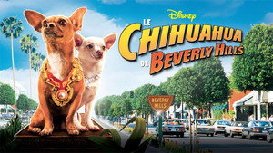 Крошка из Беверли-Хиллз (фильм, 2008)