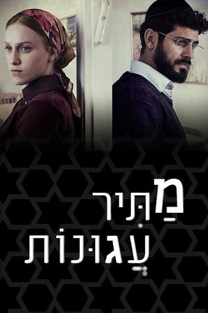 Освободитель соломенных вдов (сериал, 2019)