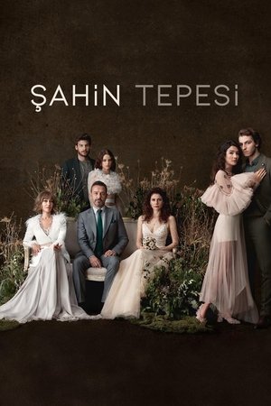 Соколиный холм (сериал, 2018)