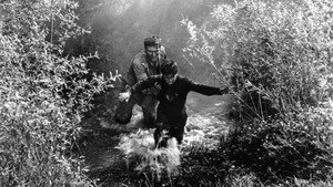 Не оглядывайся, сынок (фильм, 1956)