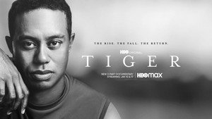 Тайгер (сериал, 2020)