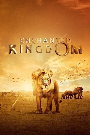 Заколдованное королевство 3D (фильм, 2014)