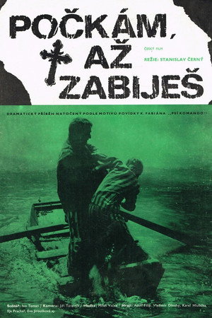 Я подожду, пока ты убьешь (фильм, 1973)