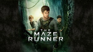 Бегущий в лабиринте (фильм, 2014)