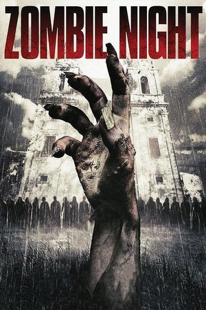 Ночь зомби (фильм, 2013)