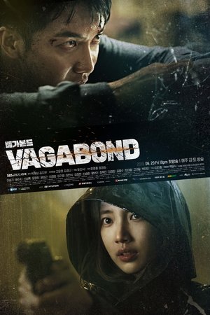 Бродяга (сериал, 2019)
