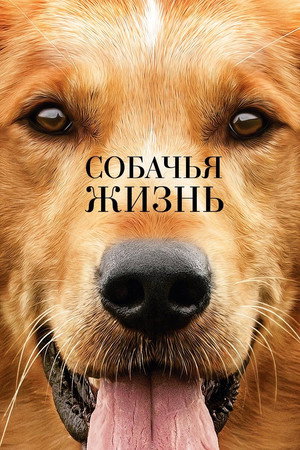 Собачья жизнь (фильм, 2017)